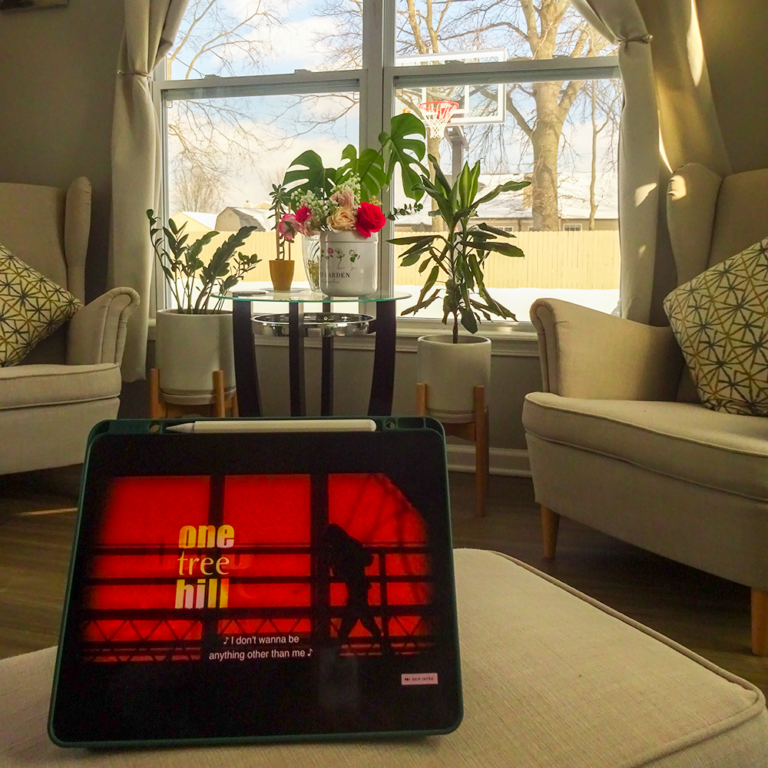 ipad with 'one tree hill' showing on screen in a sunroom setting