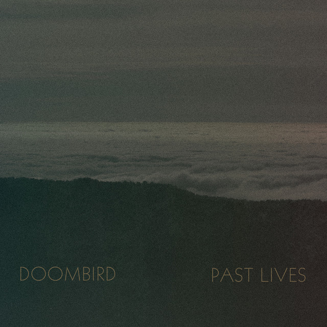 album art for Fog Rolls In - Doombird